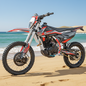 Moto de cross pour adultes de qualité supérieure <span class=keywords><strong>NICOT</strong></span> KR3 300PR - Product Image 3