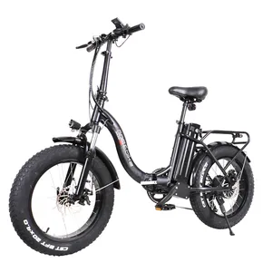 36v 350w Foldable Electric Bike 20 Inch Fat Tyre City Folding Two Seat Ebike Adult Custom Electric Bicycle
