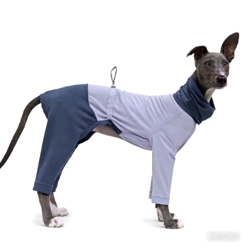 Reliable China Supplier High Collar Breathable