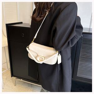 Sac à bandoulière de luxe tendance 2025 pour femme, style bonbon en cuir souple PU, avec fermoir et chaînes, collection été-hiver, par une marque de créateur de mode - Product Image 6