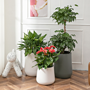 Jardinière auto-arrosante, plastique PP, moulage direct, design conique moderne. Convient pour la maison, le bureau et le jardin extérieur - Product Image 6