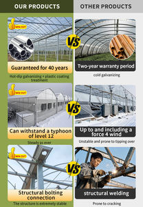 उच्च दक्षता बड़े वाणिज्यिक बहु-अवधि कृषि ग्रीनहाउस फ्रेम पॉली कार्बोनेट ग्रीनहाउस - Product Image 3