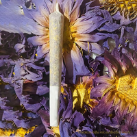 Thé de lotus bleu entier naturel de qualité supérieure, certifié aux normes alimentaires européennes, issu de notre propre jardin, à base de fleurs de Nymphaea Caerulea, à fumer, en vrac, à base de plantes.