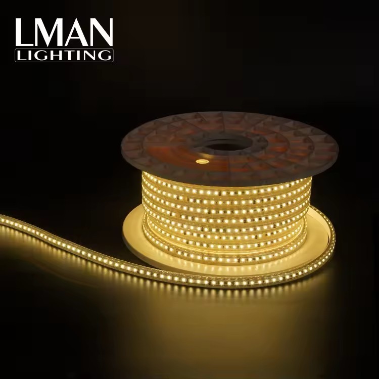 High Brightness Outdoor Flexible LED Rope Light AC110V 220V SMD2835 110LEDS/M 5m/roll LED Strip Light · image 6