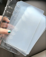 Feuille de classement A4 transparente givrée pour album de rangement de vernis à ongles, cadre de présentation de nuancier de couleurs pour nail art, insert de page en PP