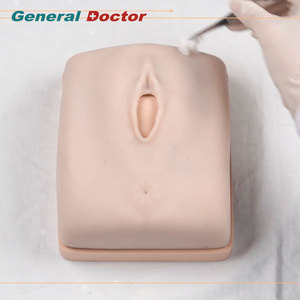 Perineale Incision- und Nahtsimulator GD/F3B.100 - Product Image 1