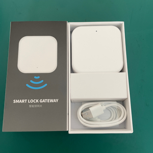 Điều khiển từ xa TT khóa 2G Gateway hộ gia đình căn hộ ttlock khóa thông minh với quản lý tập trung các bộ phận quan trọng - Product Image 1