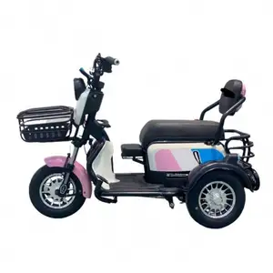 מטען מבוגרים עבור E Trikes ערכת 3 גלגלים טוק קטנוע תלת גלגלים אופנוע בניית בטון הופר רכב תלת אופן חשמלי