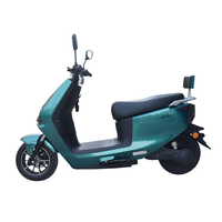 Moto électrique, moteur 1000W, cyclomoteur électrique, vitesse 55 km/h, motos électriques pour adultes