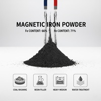 Poudre de magnébite Fe3O4 97% 200 Mesh pour le lavage du charbon à médiators lourds et la séparation dans un milieu dense