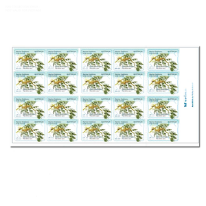 Autocollants adhésifs en PVC imprimés sur mesure, timbres australiens vintage, Wombat 2019, 1.1 Review 100, imperméables à l'eau, séchage rapide, blanc - Product Image 5