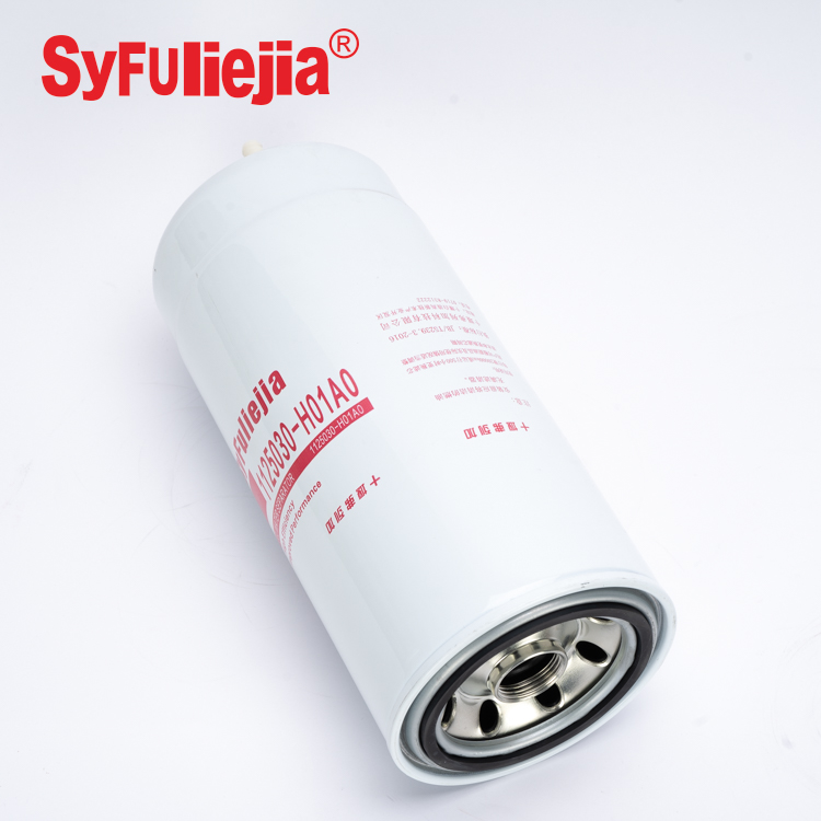SyFuliejia Fuel Filter FF5891 Truck Fuel Filters Ff5891