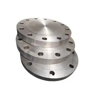 Pipe Fittings CNC flange without hole titanium blind flange for sealing the pipe plug RF 300 ASME B16.5 Flange