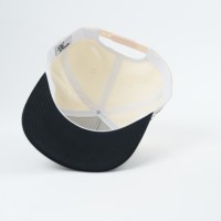 Hoge Kwaliteit Custom Logo Sport Baseball Caps Dot Fruit Patroon Dobby Made Oxford Poplin Aangepaste Borduurhoed Fabrikanten