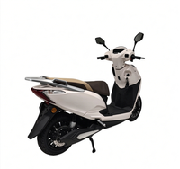 Trottinette électrique adulte 2000W 60V 2 roues, avec batterie au plomb-acide et batterie au lithium, idéale pour les trajets urbains
