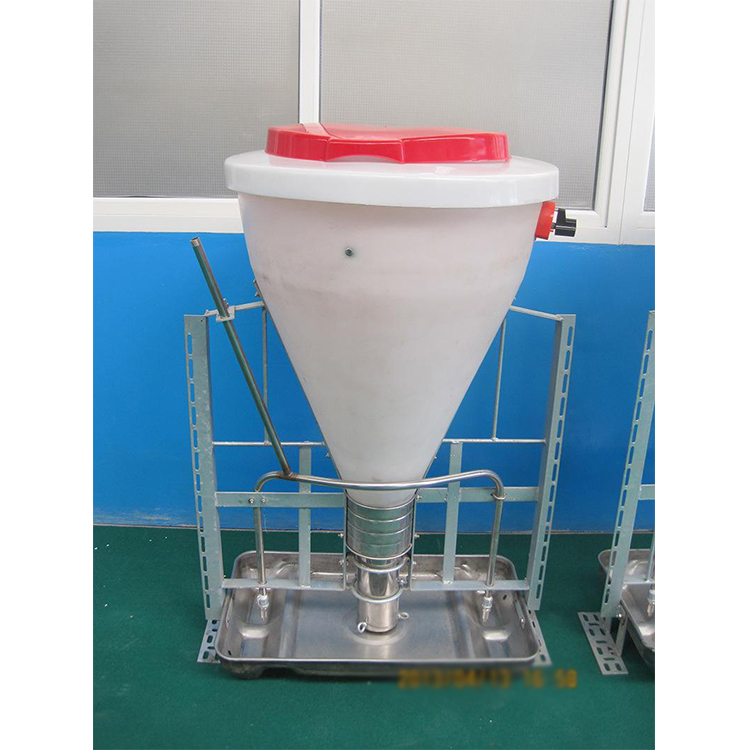 Nouveau intelligent sec et Humide mangeoire aux porcs semi automatique d'alimentation pour porcs