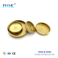 IVOK Bouchon de Congélation de Moteur en Laiton Massif Type Coupe de 6mm à 72mm pour l'Étanchéité du Bloc-Cylindres de Voiture Vente en Gros