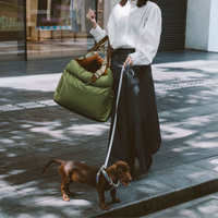 Lit de luxe pour chien et chat, portable, imperméable, résistant à la saleté, lavable, housse amovible, toutes saisons, accessoires pour animaux de compagnie, en cuir