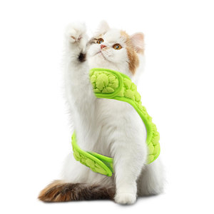 <strong>Dog</strong> Collar and Leash Set with Adjustable Floral Collar Metal Buckle and Tag Decor for <strong>Dogs</strong> Cloth - Product Image 3