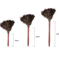 Plumeau d'autruche de couleur naturelle réutilisable et écologique bon marché pour les fournitures de nettoyage, la maison, la voiture et le bureau