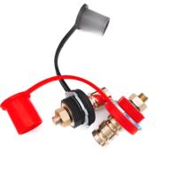 Poteau de chargeur de batterie de type long 250A Lot de 2 matériaux en laiton avec goujons rouges et noirs Borne à vis Application automobile