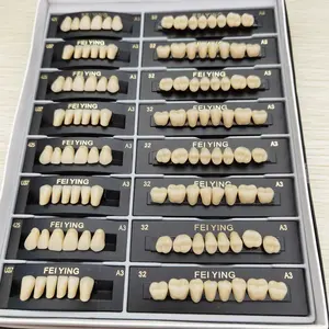 Dentes artificiais da resina acrílica do OEM 2 camadas para a prótese dental