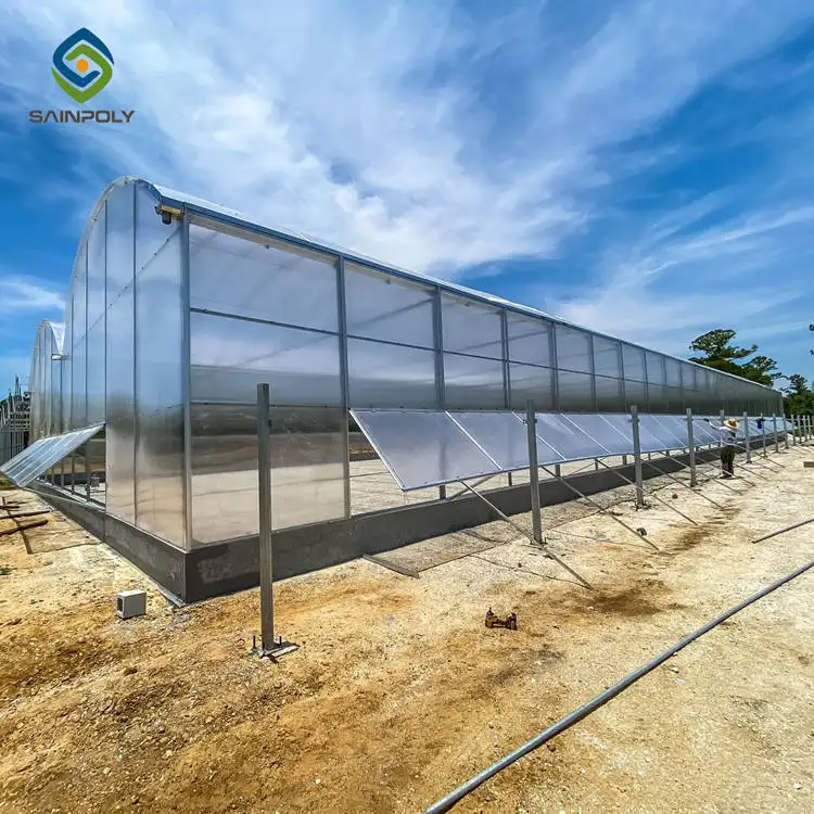 Dalam Stok Proyek Turnkey Pertanian Plastik Terowongan Tomat Hidroponik Inversi Nadero Rumah Kaca Hijau untuk Dijual