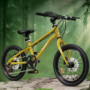 Hot-selling 18/<strong>20</strong>/22 <strong>Inch</strong> Single-speed Kid's Bicycle, High Quality Customized Children <strong>Bike</strong> Kids Boys <strong>Girls</strong> <strong>Bike</strong> - Product Image 6
