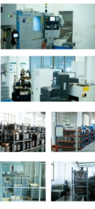 Tendicinghia di Alta Qualità Nuovo con Cuscinetto Regolabile ZQ20084 11287790448 con <span class=keywords><strong>2</strong></span> Anni di Garanzia per Sostituzione - Product Image 4