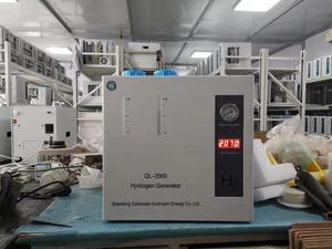 99.999% शुद्धता जीसी/एलसी व्यावसायिक हाइड्रोजन जनरेटर 110v का उपयोग करें - Product Image 6