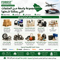Servicios de Logística, Agente de Envíos de China a Arabia Saudita, Transporte Marítimo, Transporte Aéreo, Proveedor de Logística con Servicio de Despacho de Aduanas