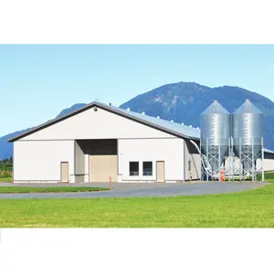 Construction de ferme à poulet contrôlée, structure en acier, plantes de volaille, à vente