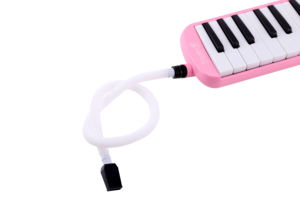 <span class=keywords><strong>Venta</strong></span> al por mayor 32 Key <span class=keywords><strong>Melodica</strong></span> con Soft Bag teclado <span class=keywords><strong>melodica</strong></span> para la <span class=keywords><strong>venta</strong></span> - Product Image 4