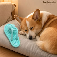 Jouet à mâcher pour chien en corde de coton, jouet à mâcher en forme de pantoufle, jouet interactif tressé pour chiens de petite et moyenne taille
