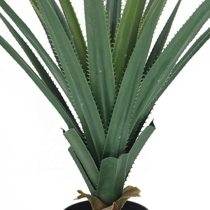 Dracena <span class=keywords><strong>draco</strong></span> artificial <span class=keywords><strong>de</strong></span> 75cm <span class=keywords><strong>de</strong></span> alto, planta con maceta para decoración interior - Product Image 5