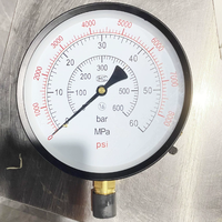 Manómetro de 60Mpa para Probador de Inyectores Diésel S60h S70h S80h, Herramienta de Prueba de Presión de 0-8000 Psi