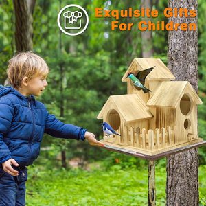 Ensemble de maison d'oiseau en bois à motif solide pour enfants Peinture et décoration Arts et artisanat - Product Image 3