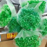 Bunga Awet Kualitas Tinggi Gaya Ins Anna Hydrangea untuk Perlengkapan Florist Grosir