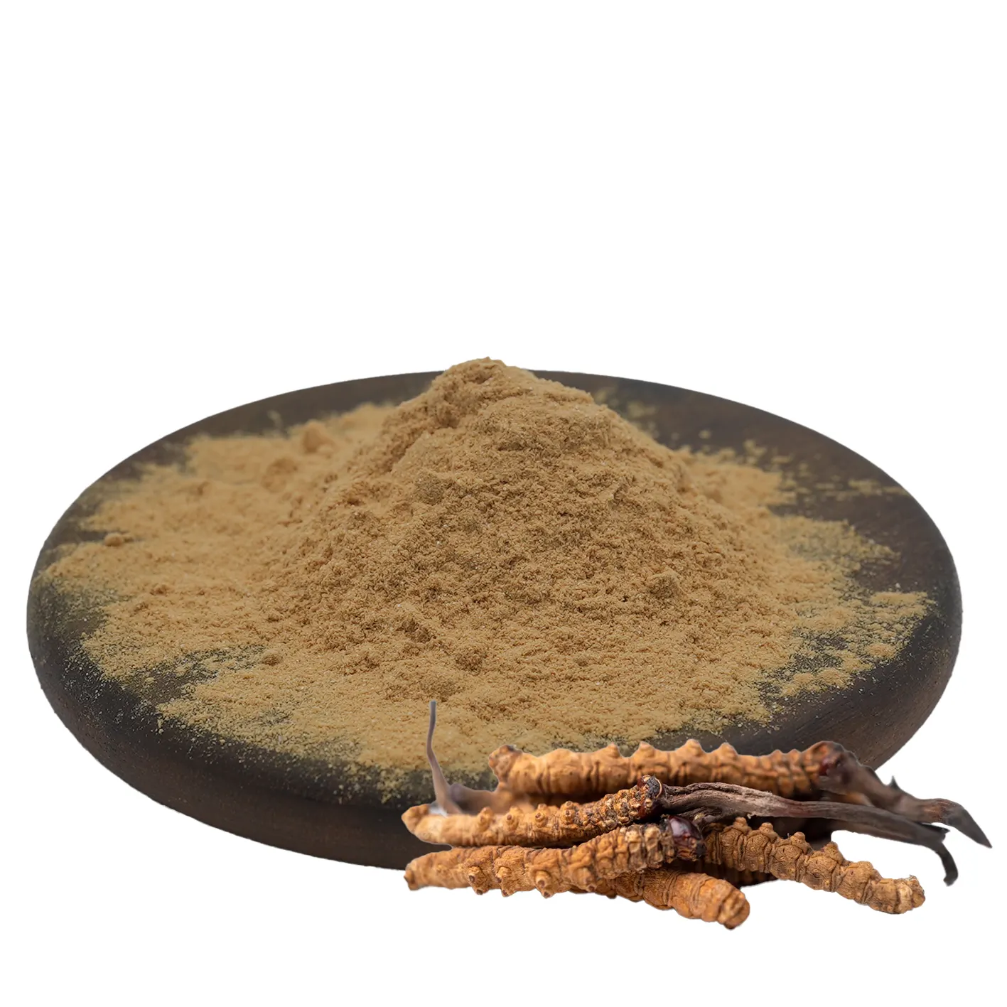 ผงสกัดจาก Cordyceps Militaris ของรถสาธารณะเพื่อสุขภาพ 0.3% ผงสกัด Cordyceps Cordycepin