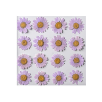 Fleurs séchées pressées, bijoux bohèmes, marguerites pressées colorées, fleurs séchées préservées pour coques de téléphone, sous-verres en résine et artisanat