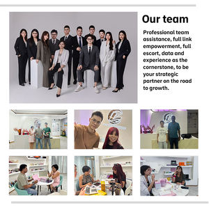 Le supplément fonctionnel de champignon de chocolat de champignon contient la <span class=keywords><strong>concentration</strong></span> d'énergie de crinière de lion de Reishi Cognition et humeur | Végétarien - Product Image 6