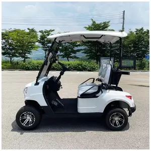 2023 Wholesale Hotsale Electric Club Car Buggy 2 Wheel Electric Mini Single Seat Golf Cart 48v