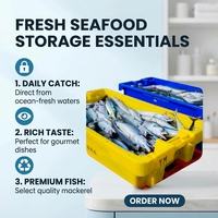 Caisse en plastique empilable et emboîtable, solide et facile à nettoyer, pour la pêche, la manutention des fruits de mer, durable