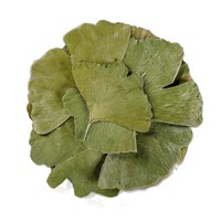 Natürliche Getrocknete Ginkgo Biloba Blätter, Schwefelfreies Kräuter-Rohmaterial für Teemischungen, Pflanzenextrakt & Wellness-Formel