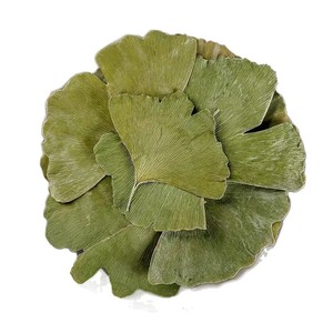 Feuilles de Ginkgo Biloba séchées naturelles, matière première végétale sans soufre pour les mélanges de thé, extrait de plante et formule bien-être - Product Image 1