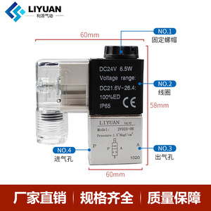 Vanne solénoïde à deux positions et deux voies Li yuan 2V025-08-06 DC24V AC220V DC12V 1/4 po pour le contrôle du gaz - Product Image 4