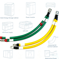 Harnais de batterie double fil robuste sur mesure avec borne à barillet ouvert, câble de démarrage haute intensité pour contrôle DC industriel