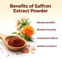 Approvisionnement d'usine Extrait d'herbe naturelle Safran Crocus Sativus Extrait Poudre 20% Polyphénols & 3% Safranal & 7.5% Crocins