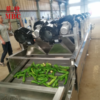 Hoge Kwaliteit 500 Kg/u Automatische Blad Groente Bubbel Wasmachine Fruit Wassen Drogen Verwerking Lijn Luchtstroom Fruit Ontwater Machine