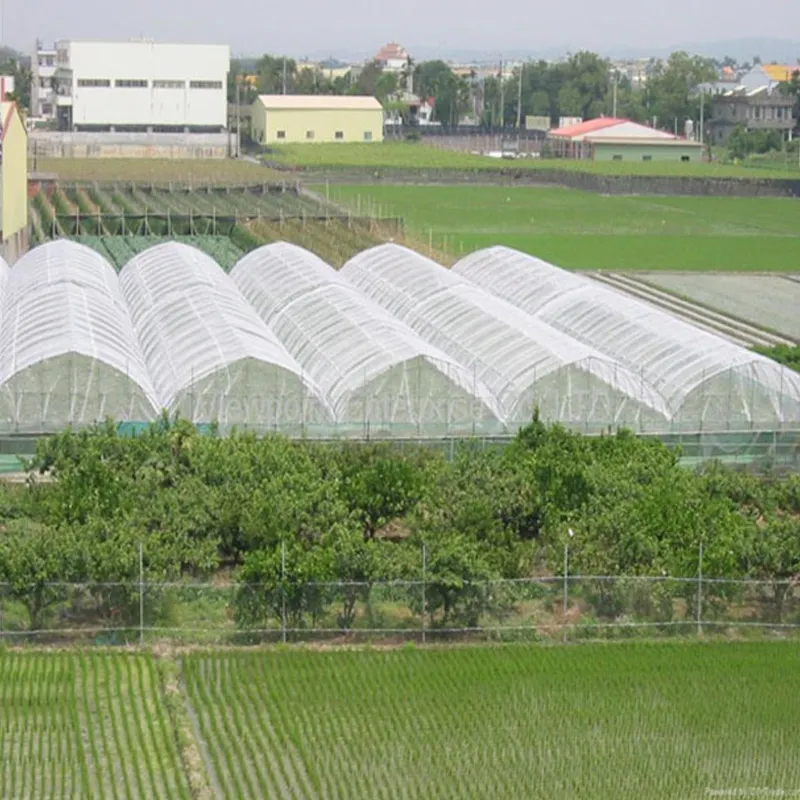 hdpe greenhouse shade cloth shade plant agricultural anti bird insect proof net garden vineyard